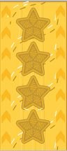 Generalspersoner – de fyra generalsgraderna – guide från Rustad Soldat