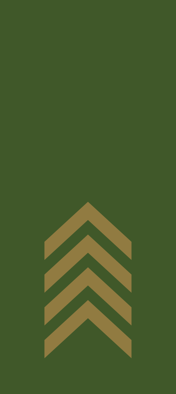 Gradbeteckning Överfurir (OR-5) – Fältuniform