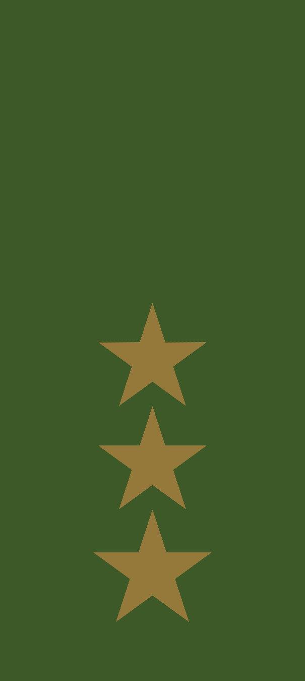 Gradbeteckning Kapten (OF-2) – Fältuniform