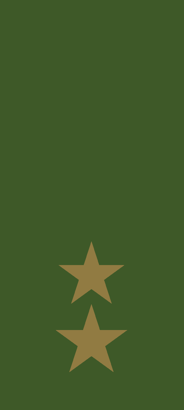 Gradbeteckning Löjtnant (OF-1) – Fältuniform