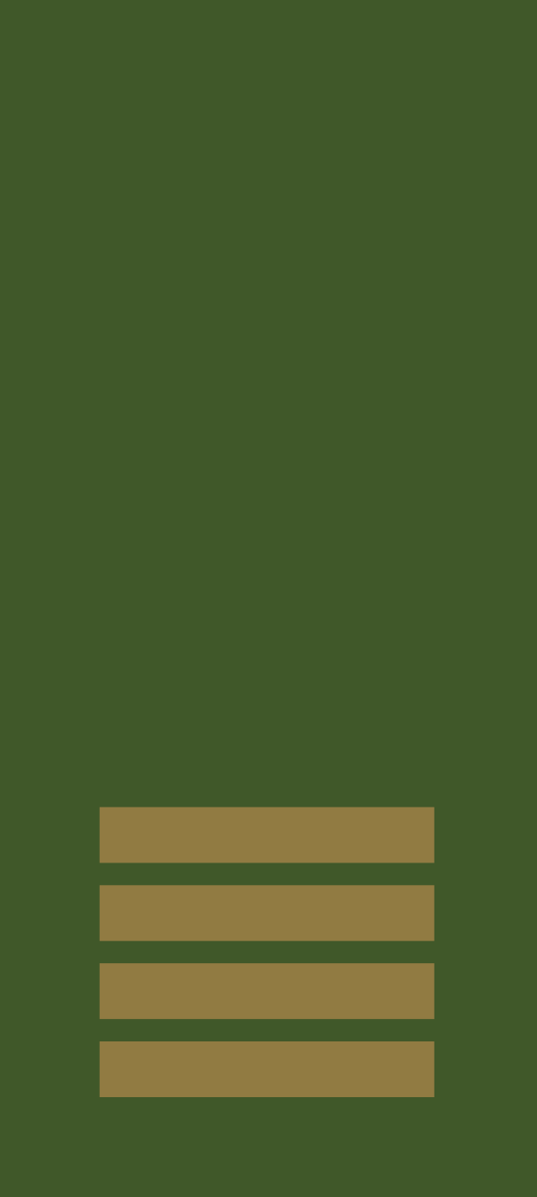 Gradbeteckning Menig 4 (OR-2) – Fältuniform
