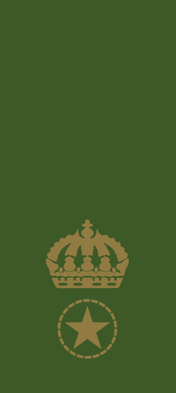 Gradbeteckning Förvaltare (OR-8) – Fältuniform