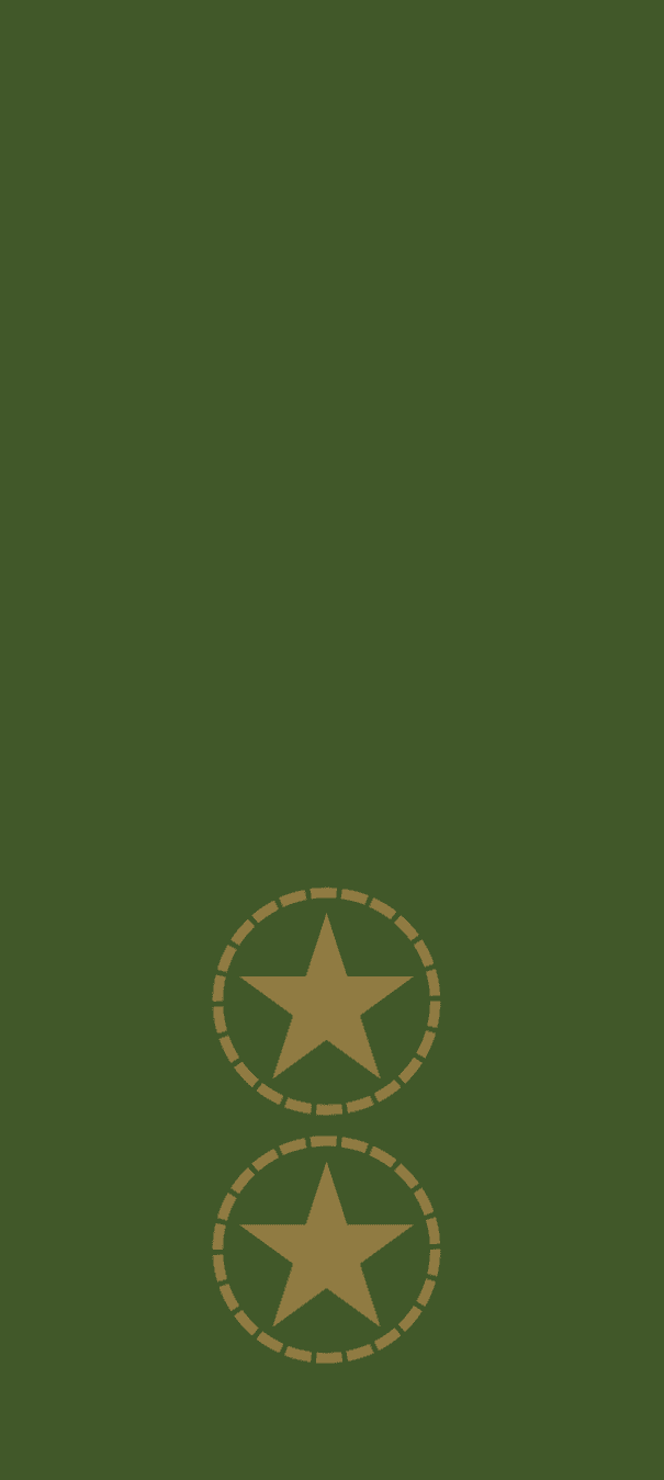 Gradbeteckning Översergeant (OR-6) – Fältuniform