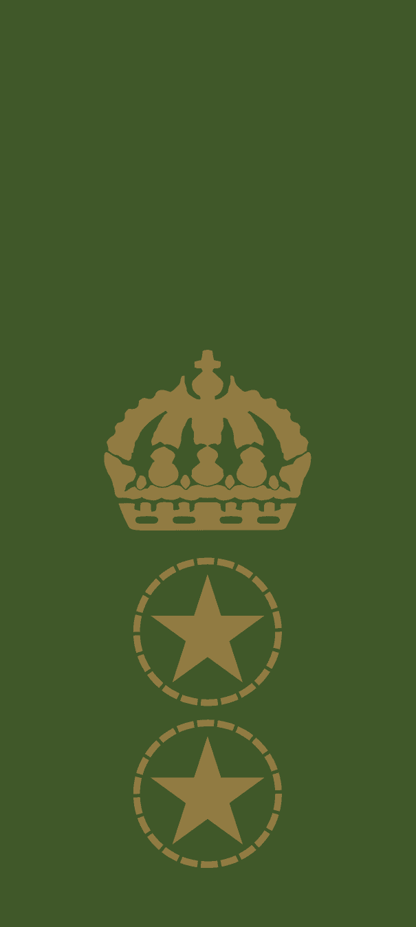Gradbeteckning Regementsförvaltare (OR-9) – Fältuniform
