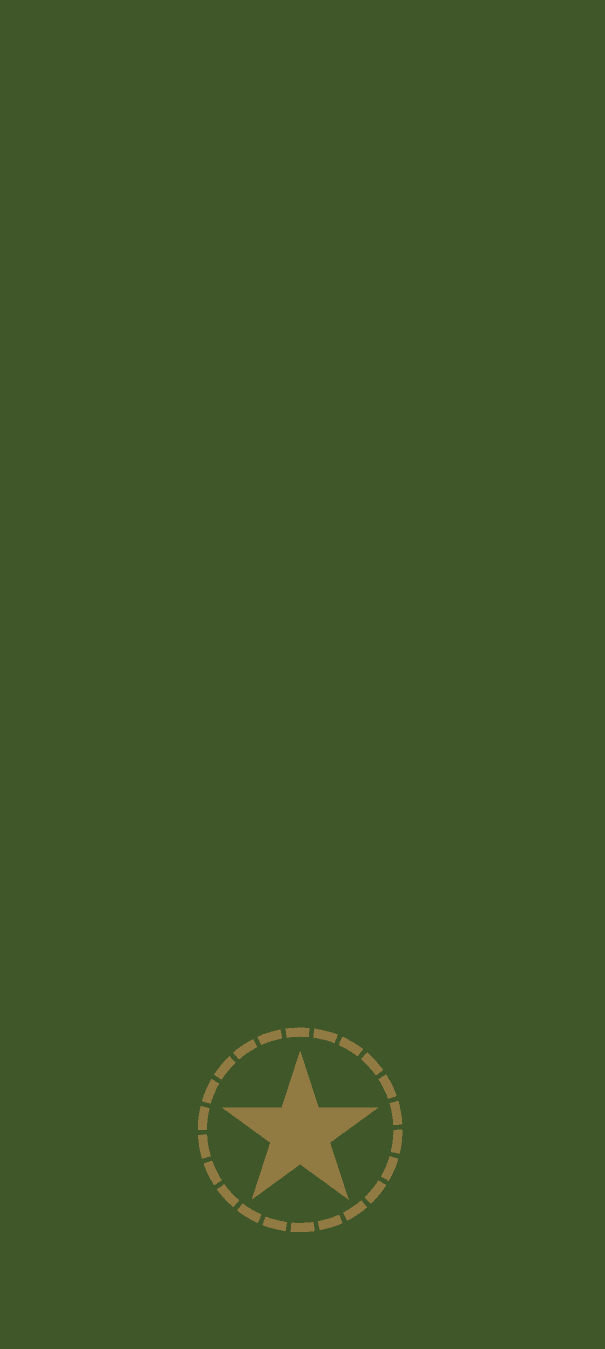 Gradbeteckning Sergeant (OR-6) – Fältuniform